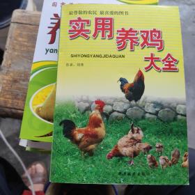 實用養(yǎng)雞大全