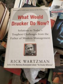 WHAT WOULD DRUCKER DO NOW?: SOLUTIONS TO