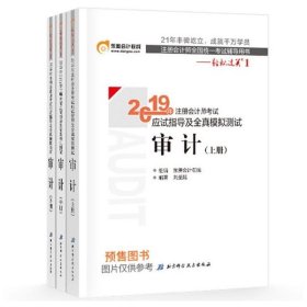 注会会计职称2019教材辅导东奥2019年轻松过关一《2019年注册会计师考试应试指导及全真模拟测试》审计（上下册）