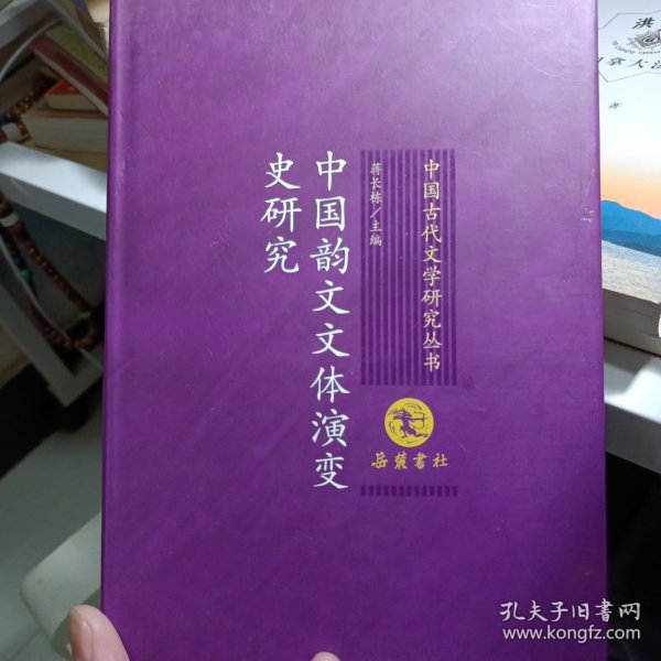 中国韵文文体演变史研究