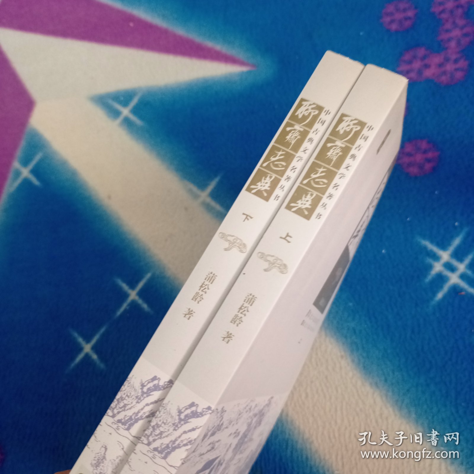 中国古典文学名著丛书：聊斋志异（上下）