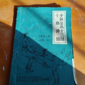少林金鸡十三腿 十路弹腿