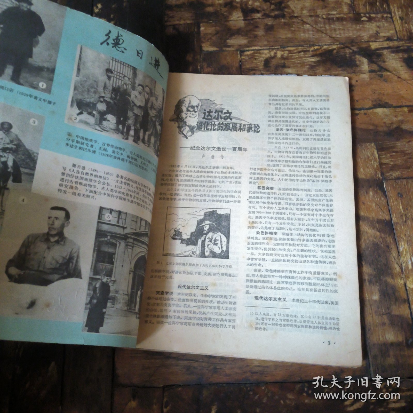 化石1982年1~4期（季刊，全年合售）