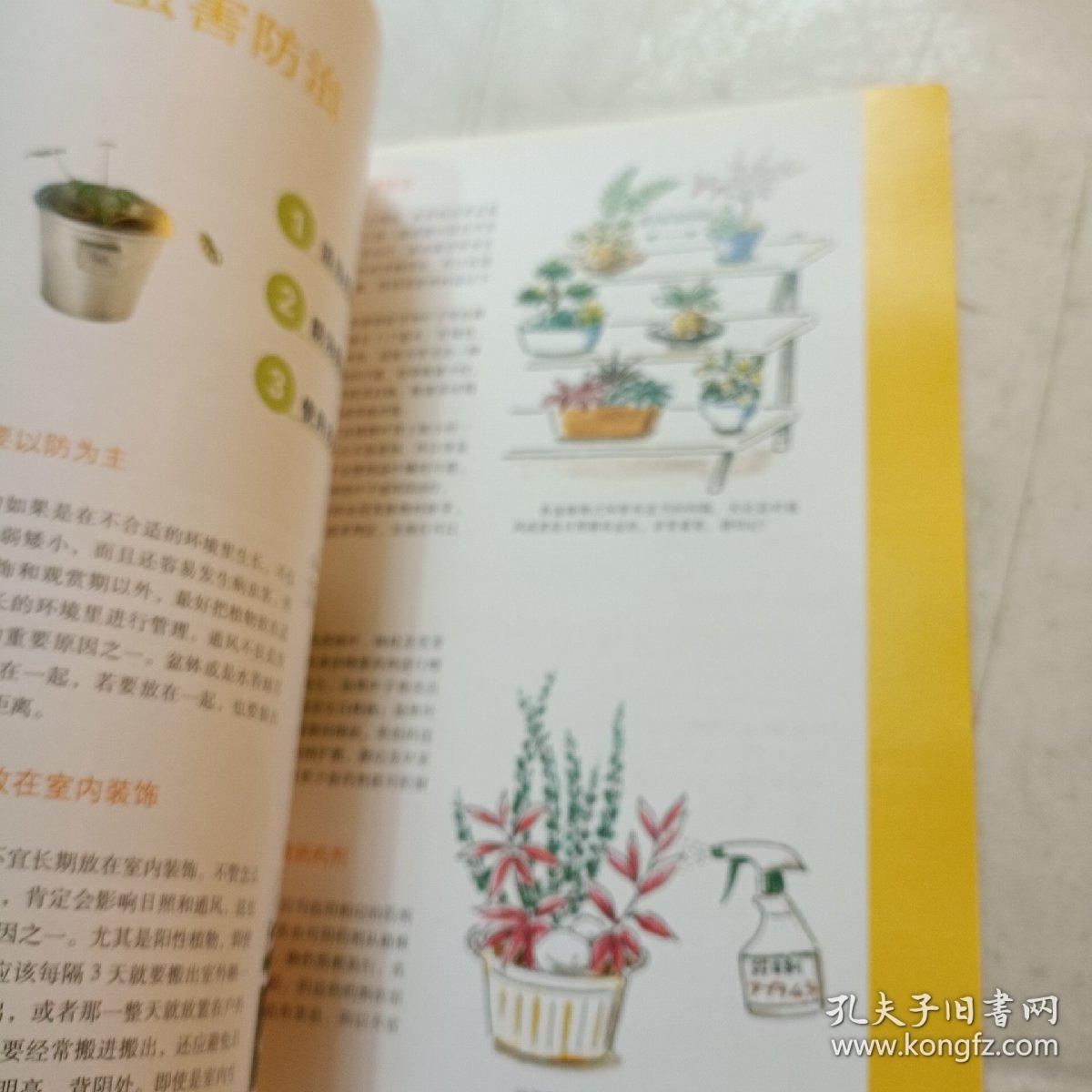 图解组合盆栽制作与观赏