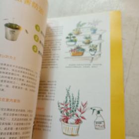 图解组合盆栽制作与观赏