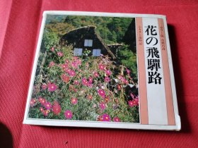 1983年精装日文原版 花飞蝉路 花的图多