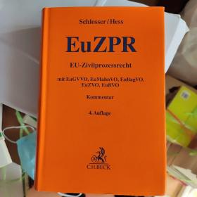 EU-Zivilprozessrecht 欧盟民事诉讼法 德文原版