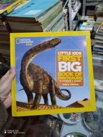 First Big Book of Dinosaurs
