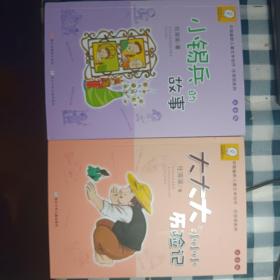 大大大和小小小历险记   小锡兵的故事：中国幽默儿童文学创作·任溶溶系列二种