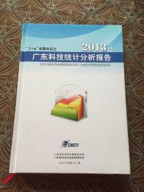 2013年广东科技统计分析报告