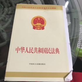 中华人民共和国民法典附草案说明32开