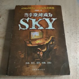 当李晓峰成为SKY