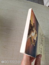 罗马阳台 世间的每一个清晨