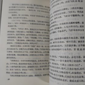 岳飞庙志 大32开 平装本