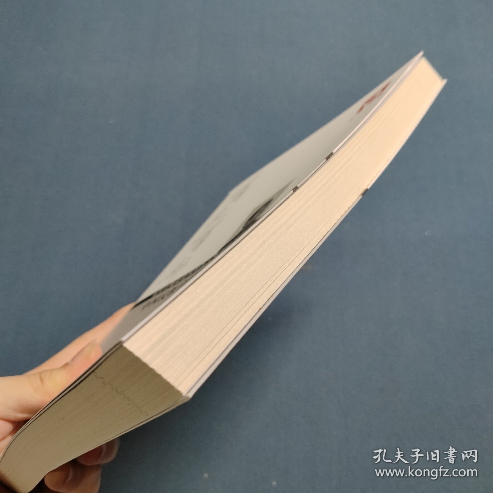 中国民族自治地方政府发展