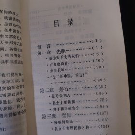 在共和国的旗帜上