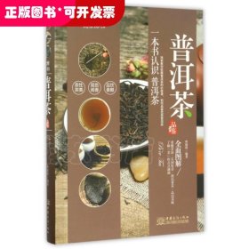 品鉴系列 优雅醇和：普洱茶品鉴