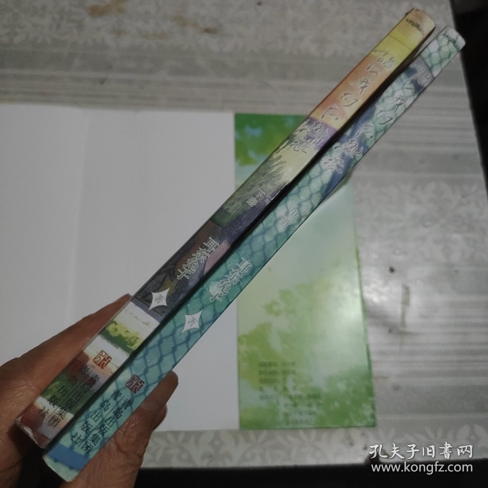 陷入我们的热恋（中下册）（晋江高人气作家耳东兔子青春校园新作《陷入我们的热恋》重磅来袭！冷淡少年VS酷妹少女，我们的前程就是风光）