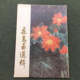 花鸟画选辑（12张全）