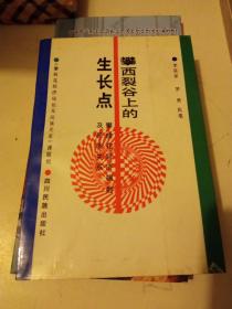 攀西裂谷上的生长点:攀枝花经济辐射及民族关系