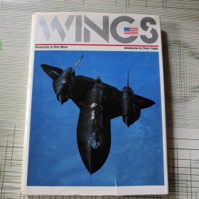 WINGS 美国空军航空艺术