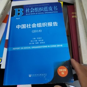 中国社会组织报告（2018）书里写字画线