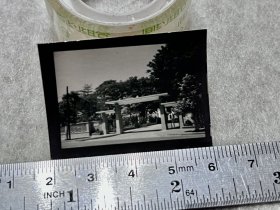 六十年代 广州老照片 中山纪念堂附近 2张