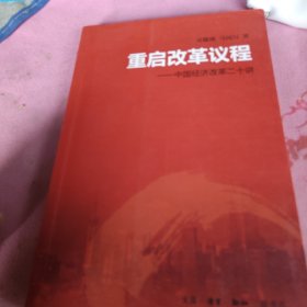 重启改革议程：中国经济改革二十讲