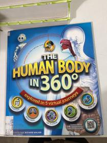 the human body in 360