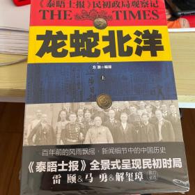 龙蛇北洋 : 《泰晤士报》民初政局观察记