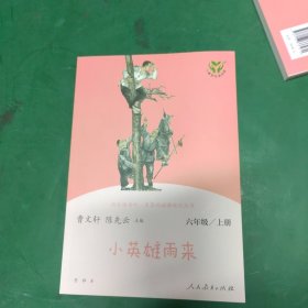 快乐读书吧小英雄雨来人教版配合统编语文“快乐读书吧”栏目同步使用六年级上册