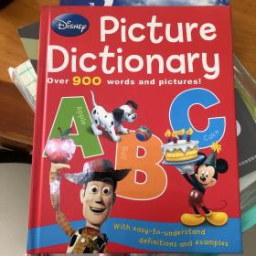 Picture Dictionary