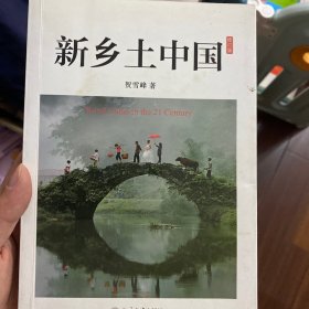 新乡土中国：修订版