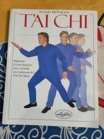 TAICHI 太极拳