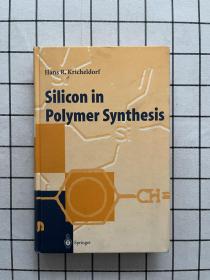 Silicon in Polymer Synthesis