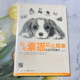 铅笔素描如此简单 : 生活中的美术