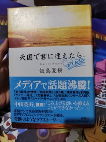 饭岛夏树 日文原版书天国で君に逢えたら