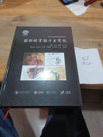 腹腔镜胃肠手术笔记 AME科研时间系列医学图书002