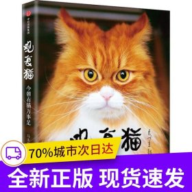 观复猫：今朝有猫万事足