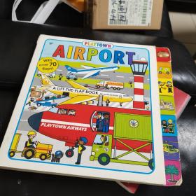 英文原版Playtown系列 Lift-the-Flap Book Airport 纸板翻翻书