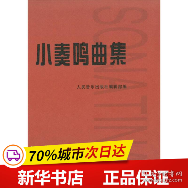 保正版！小奏鸣曲集9787103034422人民音乐出版社人民音乐出版社编辑部