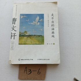 曹文轩经典品读书系 走不出的油麻地 《草房子》精选点评本