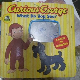 Curious George What Do You See? (CGTV Board Book)