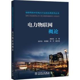 物联网技术在电力行业的应用系列丛书电力物联网概论