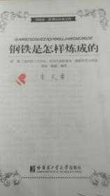 钢铁是怎样炼成的  新课标经典文库青少版