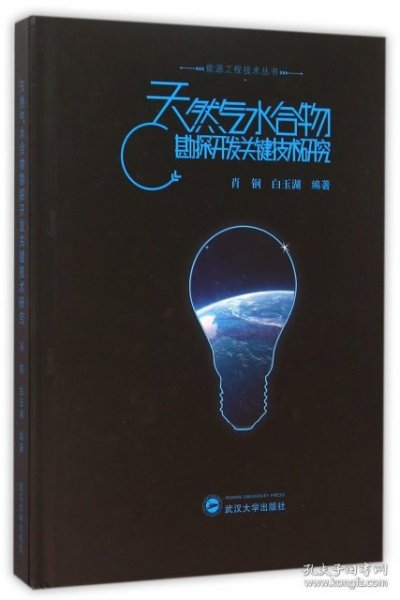 能源工程技术丛书：天然气水合物勘探开发关键技术研究