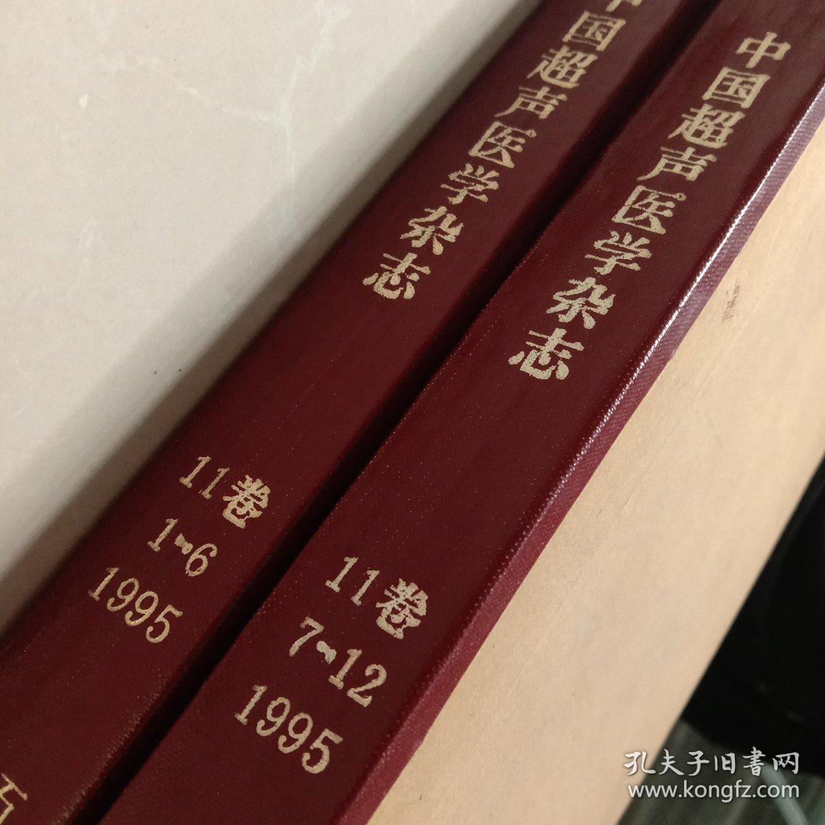 中国超声医学杂志~1995年全年12期，自制合订本