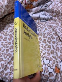 现货 Understanding Analysis (Undergraduate Texts in Mathematics)  英文原版 分析入门