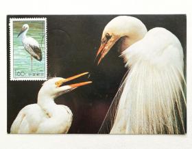 1992-2（2-2）《鹳•白鹳》邮票极限片1枚，片源：自制摄影明信片，销1992年2月20日江西永修吴城（支）首日戳。