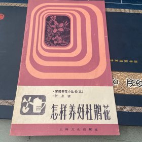 怎样养好杜鹃花